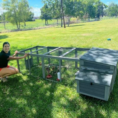 Image showing 8 th Aivituvin Large Chicken Coop with Run, 4 to 6 Chicken Capacity