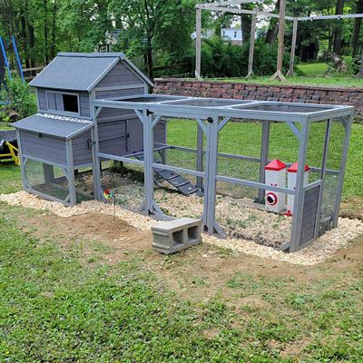 Image showing  Large Chicken Coop with Run, 8-10 Chicken Capacity