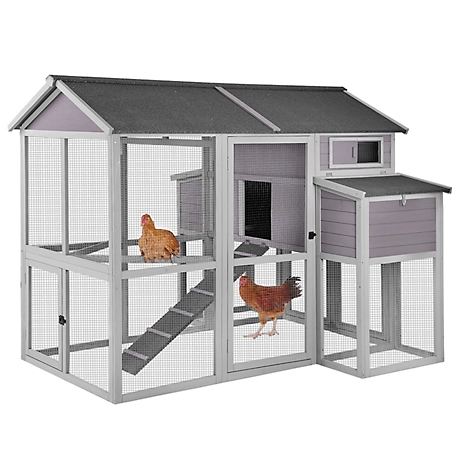 Aivituvin Large Chicken Coop, 6 to 8 Chicken Capacity, AIR48