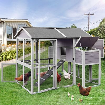 Image showing  Large Chicken Coop, 6 to 8 Chicken Capacity