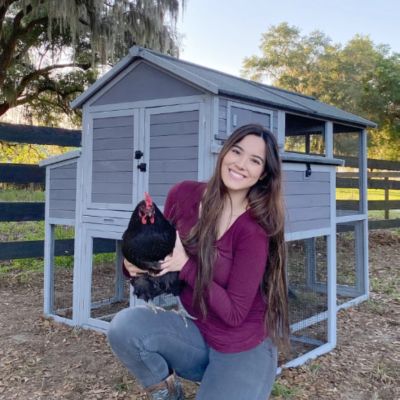 Image showing 6 th Aivituvin Large Chicken Coop, 6 to 8 Chicken Capacity