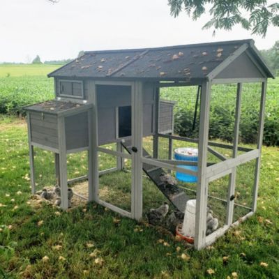 Image showing 7 th Aivituvin Large Chicken Coop, 6 to 8 Chicken Capacity