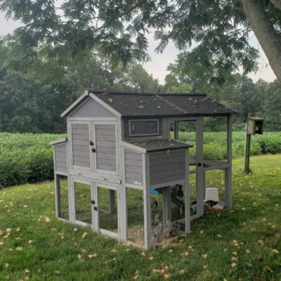 Image showing 8 th Aivituvin Large Chicken Coop, 6 to 8 Chicken Capacity