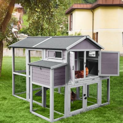 Image showing 9 th Aivituvin Large Chicken Coop, 6 to 8 Chicken Capacity