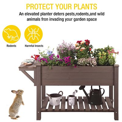 Image showing  Wooden Raised Flower and Herb Garden Bed Planter with Large Storage Shelf