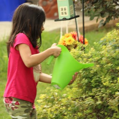Image showing  Set of 3 Watering Can, Indoor and Outdoor Use, Assorted Colors included Red, Green, Yellow, 2 Liter Capacity