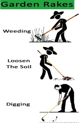 Image showing 5 th Ashman 3 pc. Assorted Garden Rakes, 2 Bow Rakes & 1 Garden Hoe