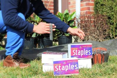 Image showing  6 in. 11-Gauge Galvanized Sod Staples Landscape Staples, Garden and Fence Stake, Heavy-Duty, 1,000 ct.