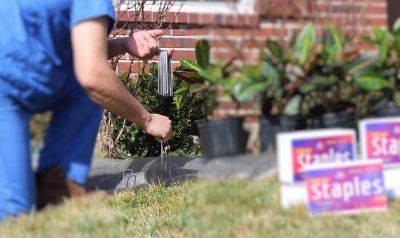 Image showing  Sod Staples Galvanized Garden Stakes Landscape Staples 100 Pack Sturdy Rust Resistant for Anchoring Landscaping.