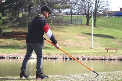 Image showing  Garden Cultivators, 6-Pack