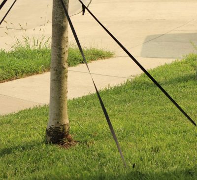 Image showing 5 th Ashman Ground Anchor 4 Pack (Ground Anchor with Arbor Rope)