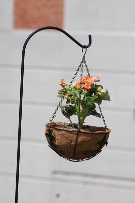 Image showing 3 th Ashman Plant Hanger Basket with Sword Design Hanging Flower Planter Basket, Ideal for Fences