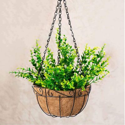 Image showing 5 th Ashman Metal Hanging Planter Basket with Coco Coir Liner