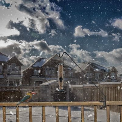 Image showing  Deck Hook, DECKHK49INCH1PK