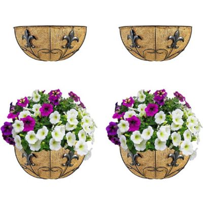 Image showing  16 in. Metal Hanging Planter Basket (2 Pack) with Coco Coir Garden Decoration Indoor Outdoor Hanging Baskets.
