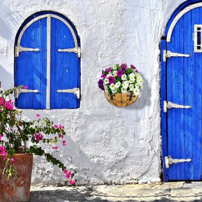 Image showing 5 th Ashman 16 in. Metal Hanging Planter Basket (2 Pack) with Coco Coir Garden Decoration Indoor Outdoor Hanging Baskets.