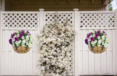 Image showing 6 th Ashman 16 in. Metal Hanging Planter Basket (2 Pack) with Coco Coir Garden Decoration Indoor Outdoor Hanging Baskets.