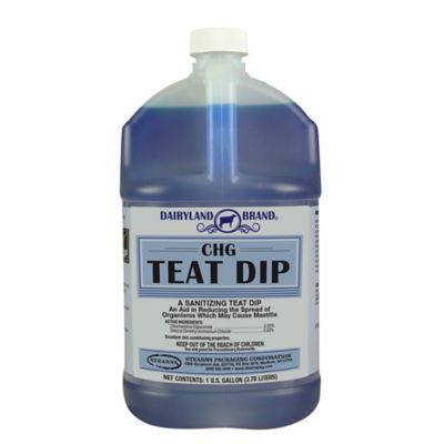 Dairyland CHG Livestock Teat Dip, 1 gal.