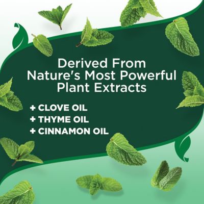 Image showing  Flea and Tick Spot-On Small 4 ct.