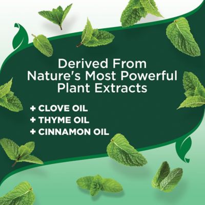 Image showing 7 th Vet's Best Flea and Tick Spot-On Large 4 ct.