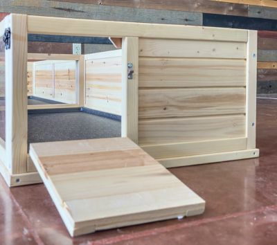 Image showing  Healthy Habitat for Guinea Pigs, XL