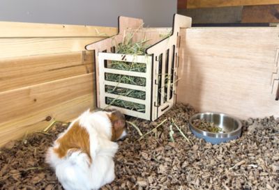 Image showing  Healthy Habitat for Guinea Pigs, XL