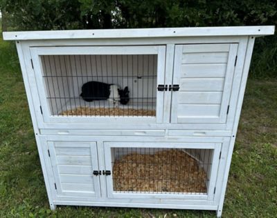 Zylina 2 Story Indoor Outdoor Modern High Rise Rabbit Hutch 53 in. x 26 in. x 54 in. at Tractor Supply Co