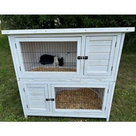 Zylina 2-Tier Modern Indoor/Outdoor High-Rise Rabbit Hutch 53-in x 26-in x 54-in Rabbit Hutches