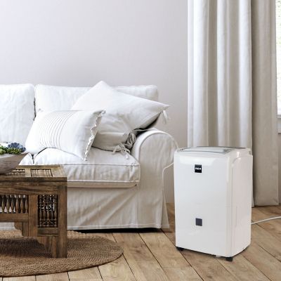 Image showing  20 pt. Dehumidifier