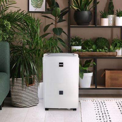 Image showing  20 pt. Dehumidifier