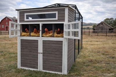 Image showing 8 th Rugged Ranch Chalet Combo Coop Plus Wire Pen