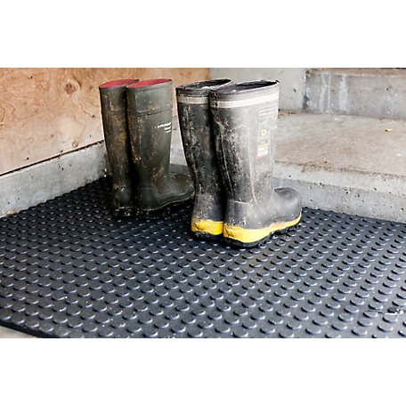 4 ft. x 6 ft. Thick Rubber Stall Mat at Tractor Supply Co.