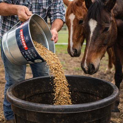 Image showing 4 th Pail Galvanized Household Type, 14 qt.