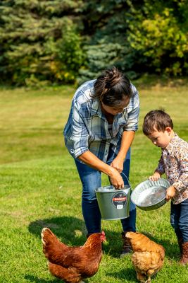 Image showing  4.25 gal. Galvanized Steel Pail