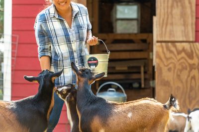 Image showing  4.25 gal. Galvanized Steel Pail