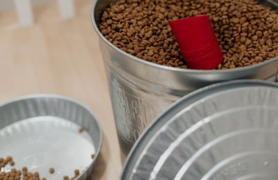 Image showing  10 gal. Galvanized Steel Locking Lid Storage Can with Lid