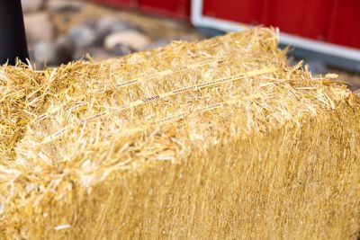 Image showing  Premium Products Certified Straw Compressed Bale Animal Bedding, 3.6 cu. ft.