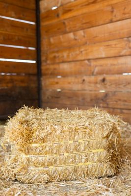 Image showing  Premium Products Certified Straw Compressed Bale Animal Bedding, 3.6 cu. ft.