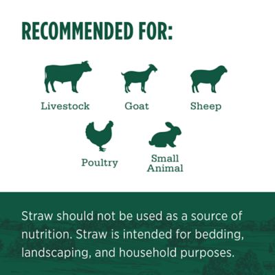 Image showing 5 th Standlee Premium Products Certified Straw Compressed Bale Animal Bedding, 3.6 cu. ft.