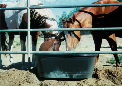 Image showing  Oval Tank, 85 gal.