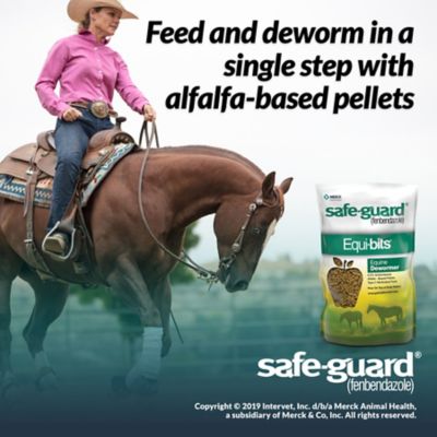 Image showing  Equi-Bits Top Dress Pellets Horse Dewormer, 1.25 lb.