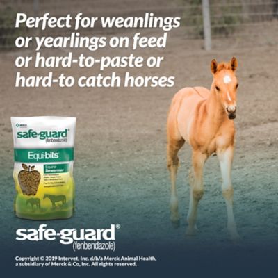 Image showing  Equi-Bits Top Dress Pellets Horse Dewormer, 1.25 lb.