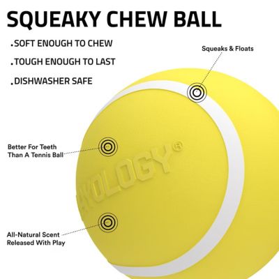 Image showing  Chew Ball Chicken Flavor, XL