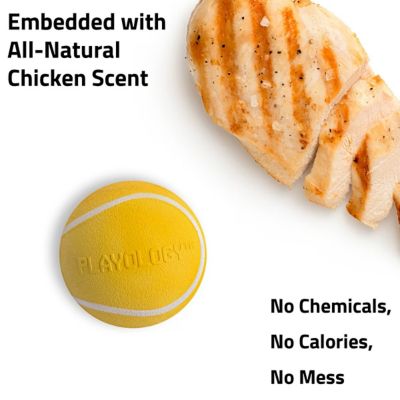 Image showing  Chew Ball Chicken Flavor, XL