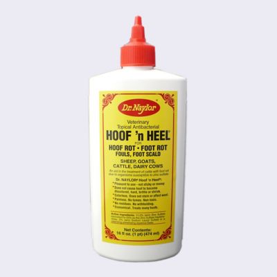 Dr. Naylor Hoof 'N Heel Livestock Wound Ointment, 16 fl. oz.