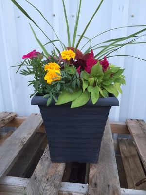 Barnes 10 in. Planter Biscotti