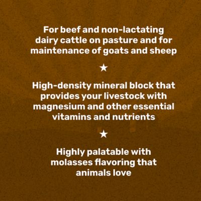 Image showing  General Purpose Livestock Mineral Block, 40 lb.