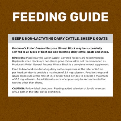 Image showing  General Purpose Livestock Mineral Block, 40 lb.