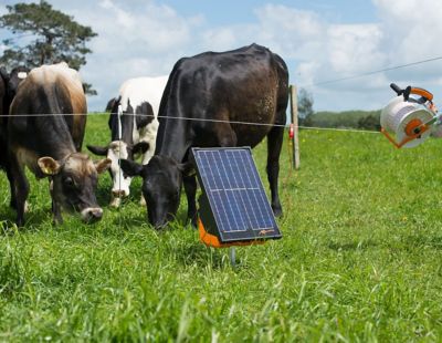 Image showing  2.0-Joule S200 Solar Fence Energer