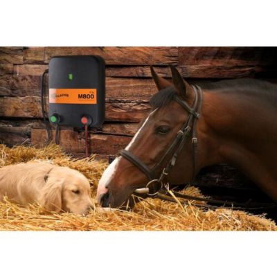 Image showing  4.9-Joule 90-Mile M800 Mains Fence Energizer